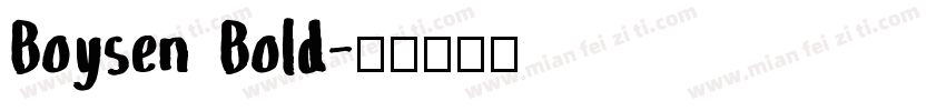 Boysen Bold字体转换